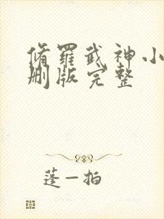 修罗武神小说未删版完整