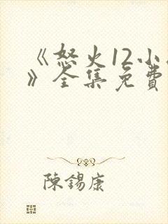 《怒火12小时》全集免费观看