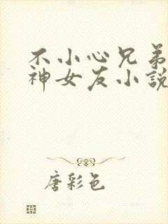 不小心兄弟的女神女友小说