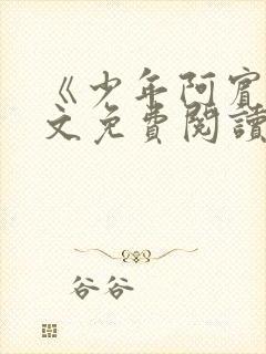 《少年阿宾》全文免费阅读