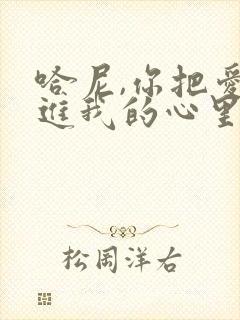 哈尼,你把爱放进我的心里是什么歌