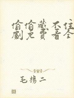 偷偷藏不住广播剧免费看全集