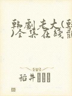 韩剧老大(韩版)全集在线观看