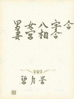 男女八字合婚夫妻宫相合