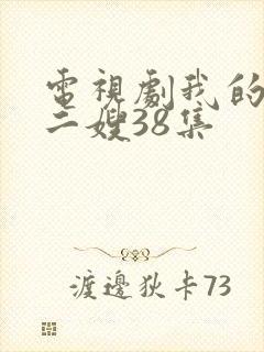 电视剧我的二哥二嫂38集