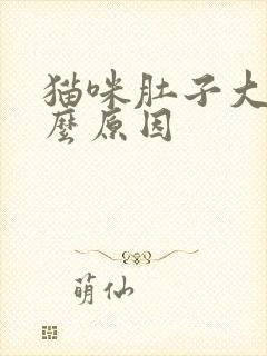 猫咪肚子大是什么原因