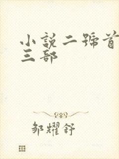 小说二号首长第三部