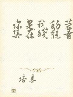 你是我的荣耀全集在线观看完整版