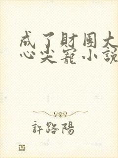 成了财团大佬的心尖宠小说gl