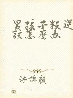 男孩子叛逆厌学该怎么办