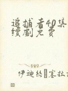 追捕者40集连续剧免费