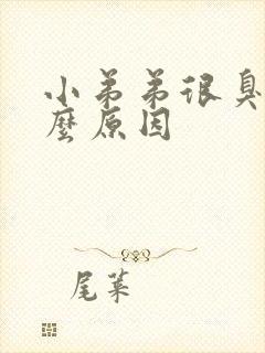 小弟弟很臭是什么原因