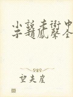 小说老街中的痞子赵凤声全文免费阅读完整版