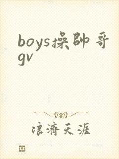 boys操帅哥gv