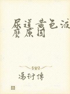 尿道黄色液体什么原因封面