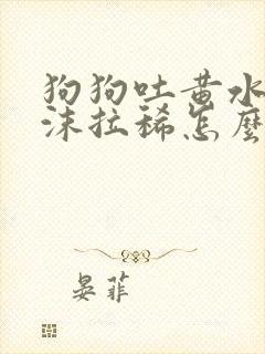 狗狗吐黄水带泡沫拉稀怎么办封面