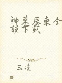 神墓辰东全本小说下载