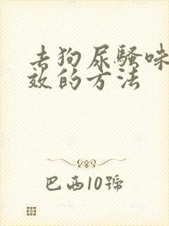 去狗尿骚味最有效的方法