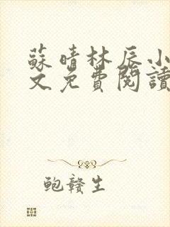 苏晴林辰小说全文免费阅读最新章节封面