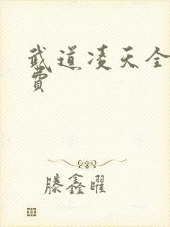 武道凌天全文免费