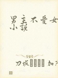 男主不爱女主的小说