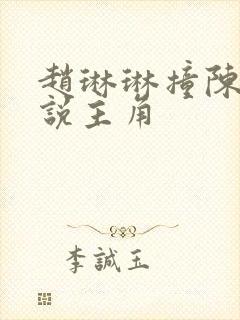 赵琳琳撞陈凡小说主角封面