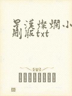 星汉灿烂小说未删版txt