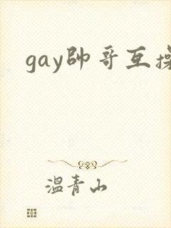 gay帅哥互操封面