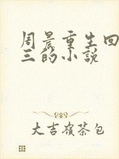 周晨重生回到高三的小说