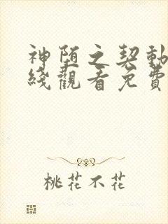 神堕之契动漫在线观看免费高清