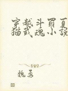 穿越斗罗夏然玄猫武魂小说