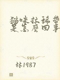 猫咪拉稀带血丝是怎么回事