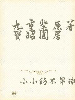 九重紫原著宋墨窦昭圆房