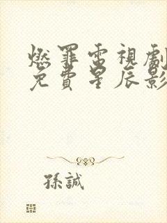 燃罪电视剧全集免费星辰影院