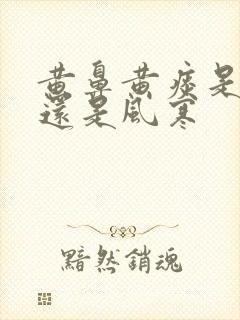 黄鼻黄痰是风热还是风寒