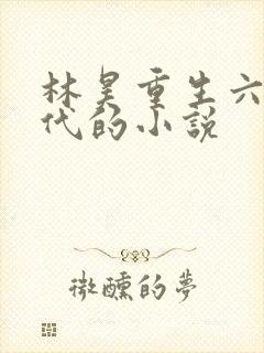 林昊重生六零年代的小说