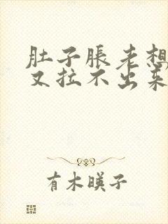 肚子胀老想拉屎又拉不出来怎么回事