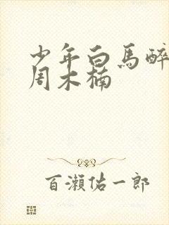 少年白马醉春风周木楠