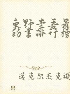 东野圭吾最好看的书排行榜