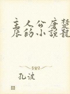 主人公唐楚楚江辰的小说龙王医婿