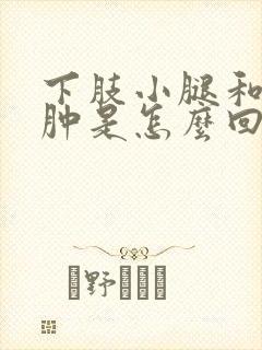 下肢小腿和脚浮肿是怎么回事