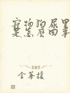 宠物狗尿里带血是怎么回事