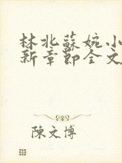 林北苏婉小说最新章节全文阅读