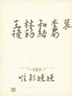 王林和李慕婉最后的结局封面