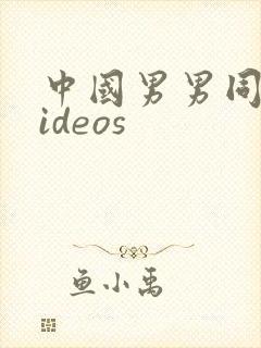 中国男男同性videos