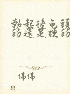 勃起后龟头是软的还是硬的