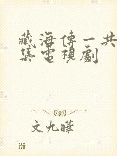 藏海传一共多少集电视剧