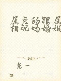 属兔的跟属蛇的相配吗婚姻