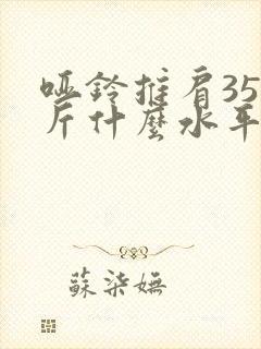 哑铃推肩35公斤什么水平