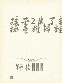 孩子2岁了离婚抚养权归谁